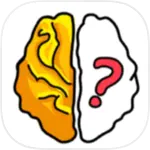 Brain Out