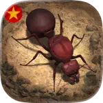 Vương Quốc Kiến